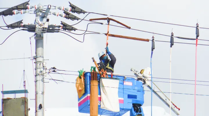 午後の作業の様子