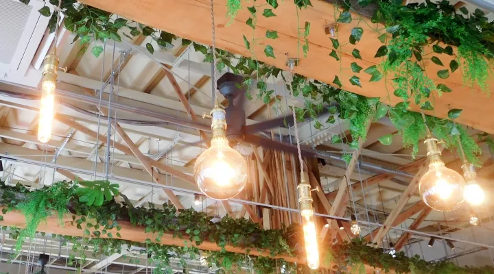 店内の電気がついた様子